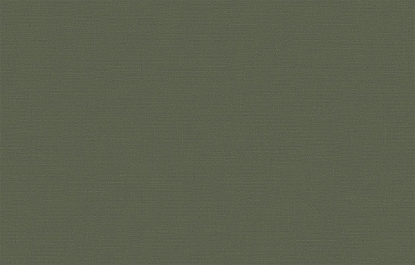 Обои Обои BRIT 31 005/3 Шервуд