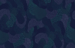 D 2 018/1 Bon Voyage