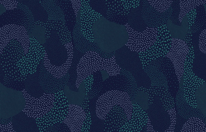 D 2 018/1 Bon Voyage