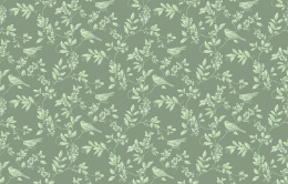 Neo 8 005 Neo Classic