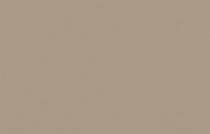 Обои BRIT 31 005/2 Шервуд