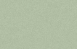 Neo 3 005 Neo Classic