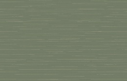 Ins 9 005/3 Amazonia