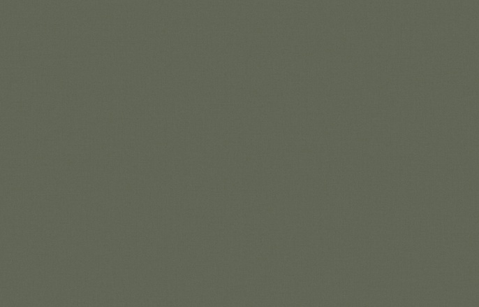 KN 7 005/1 Денди