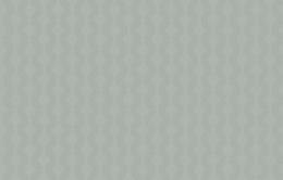 Обои BRIT 21 005 Шервуд