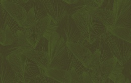 Ins 6 005/1 Amazonia