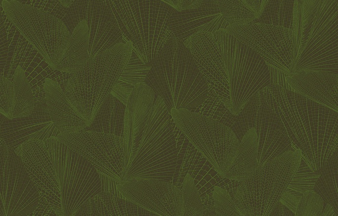 Ins 6 005/1 Amazonia