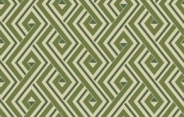 Ins 4 005/2 Amazonia