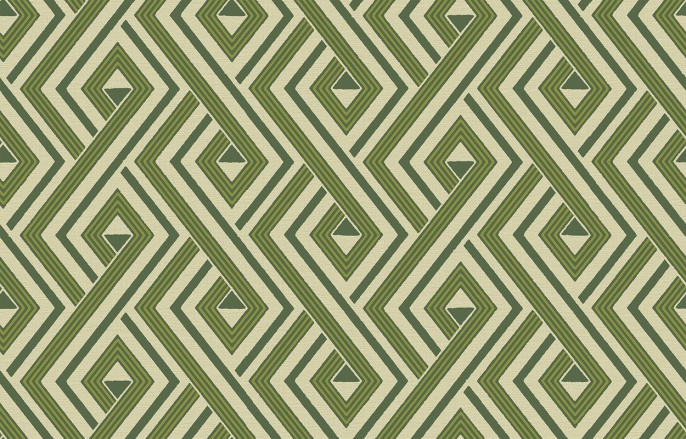 Ins 4 005/2 Amazonia