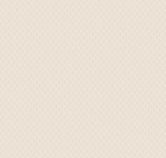 IMG 12 001/5 Загадочный лес