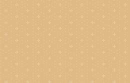 Neo 6 004 Neo Classic