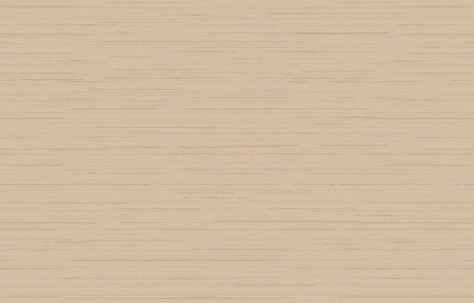 Ins 9 002/2 Amazonia