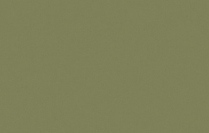 ALS 10 005/2 Origins