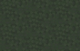 KTS 2 005 Микадо