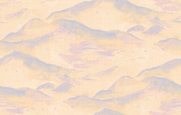 Am 1 006/1 Ambient II