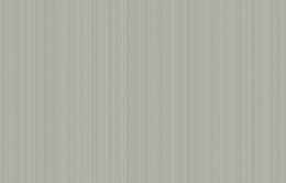 KN 4 001/2 Денди