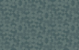 KTS 2 021 Микадо