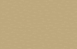 D 5 002/1 Bon Voyage