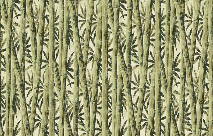 Ins 7 005/1 Amazonia