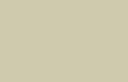 KN 7 001/1 Денди