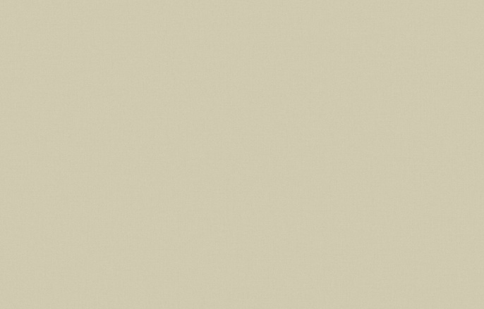 KN 7 001/1 Денди