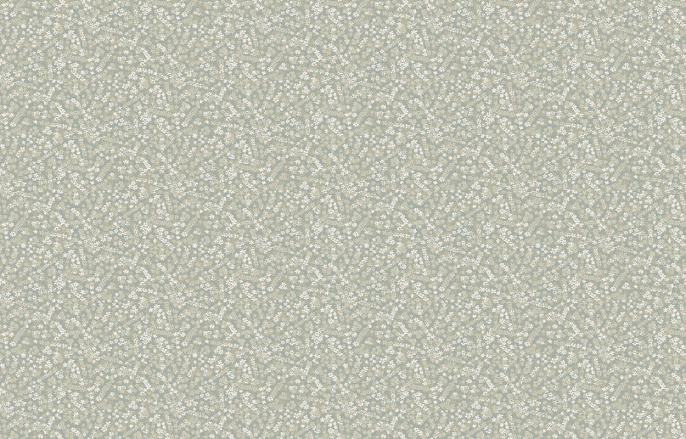 MR 2 005/1 Mirabelle