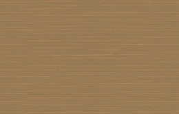 Ins 9 004/1 Amazonia