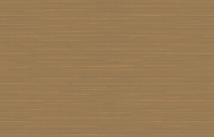 Ins 9 004/1 Amazonia