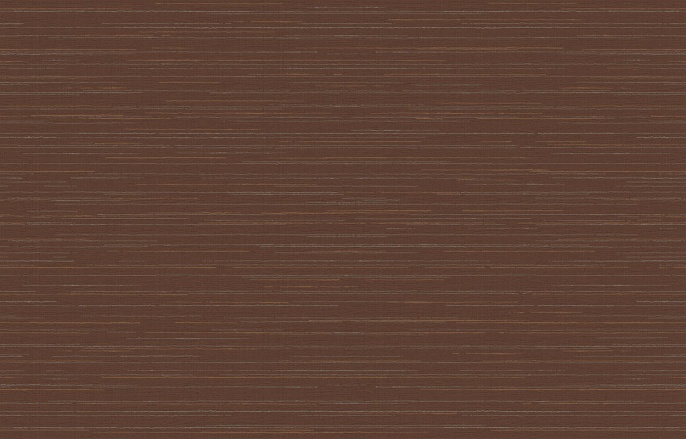 Ins 9 010/1 Amazonia