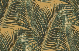 Ins 3 005/1 Amazonia