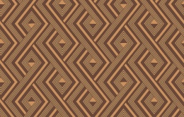 Ins 4 010/1 Amazonia