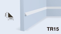 Молдинг TR15