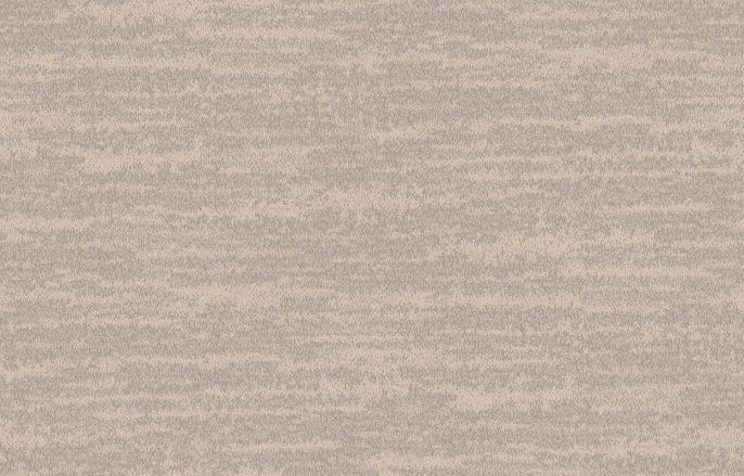 Ins 8 002/1 Amazonia