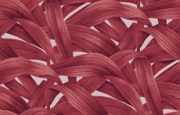 Обои CRZ 4, 020 Luna Круиз