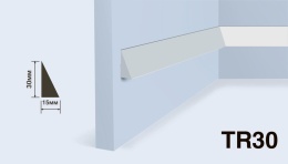 Молдинг TR30