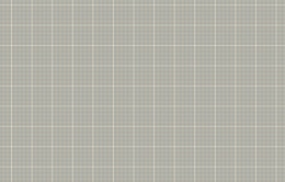 KN 1 001/2 Денди