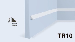 Молдинг TR10