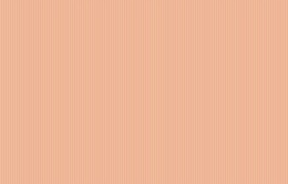 D 8 007/1 Bon Voyage