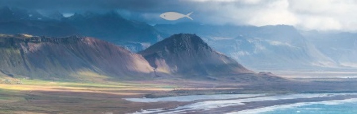 Новинка Iceland от Milassa