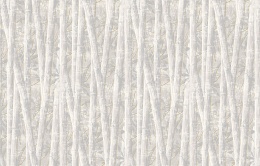 Ins 7 001/1 Amazonia