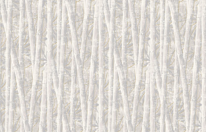 Ins 7 001/1 Amazonia