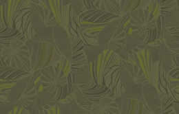 Ins 5 005/1 Amazonia