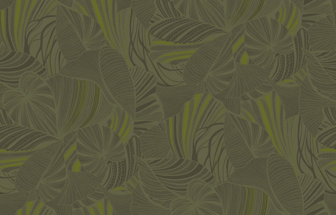 Ins 5 005/1 Amazonia