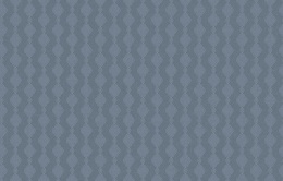 Обои BRIT 21 006/1 Шервуд