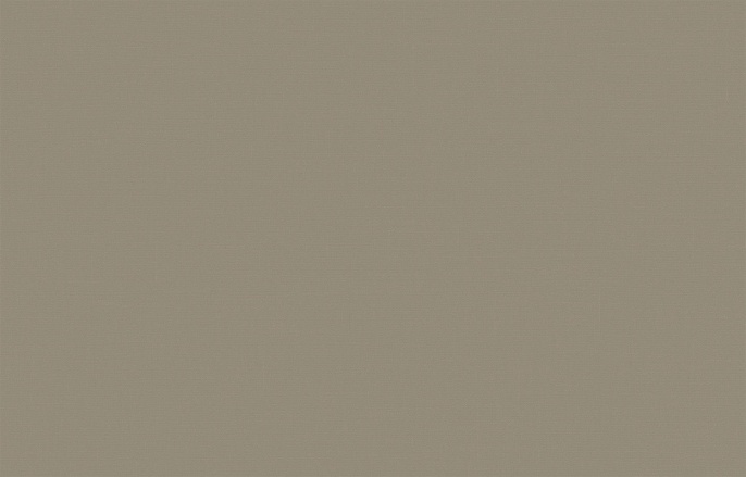 Обои BRIT 31 005/1 Шервуд