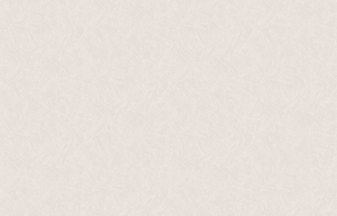 Обои WB STR 27 001 фактурный флизелин 10м.