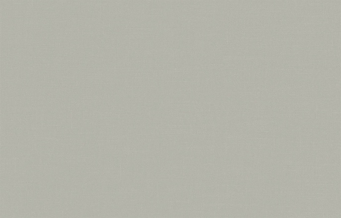 Обои BRIT 31 005 Шервуд