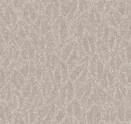 Pm 7 002/2 A La Prima