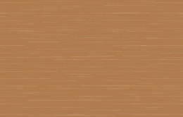 Ins 9 020/1 Amazonia