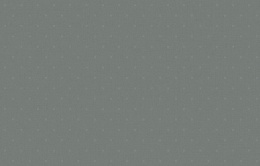 KN 5 005/1 Денди